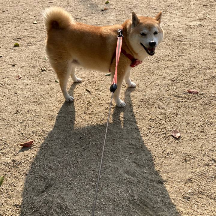 4c260918 7f08 48df bf9b c76645d2e395 1626180102931