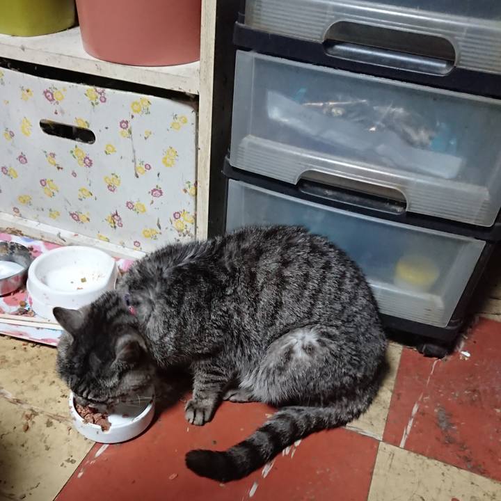 4c2616b4 2d70 4066 a428 30a3517c6292 1582229342197