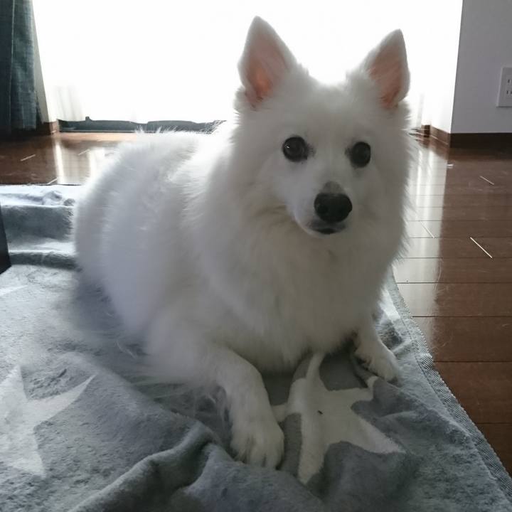 4c268397 4413 40ff bef7 cfa5a4d13e76 1589964419308