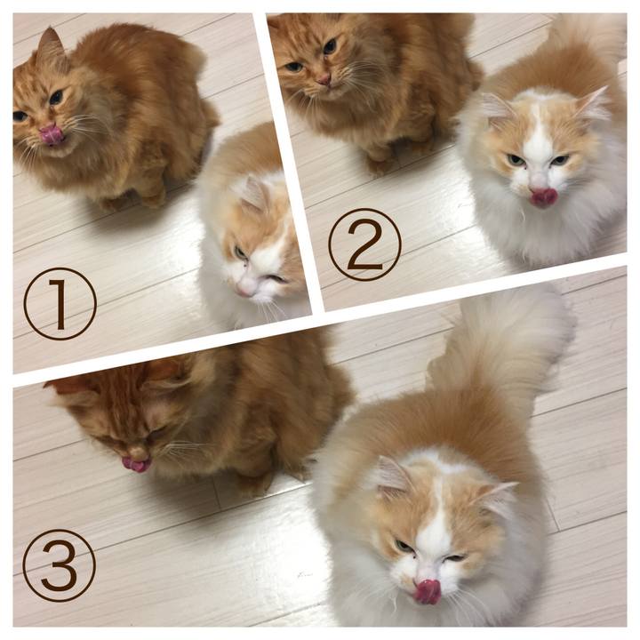 4c26a5d1 2b94 468b a102 a4e32743dde1 1520805062461