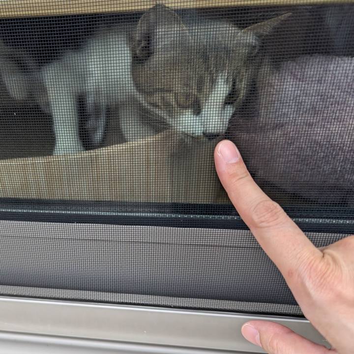 4c26af28 9dad 4e72 8641 e87c9b90c5fe 1726963720781