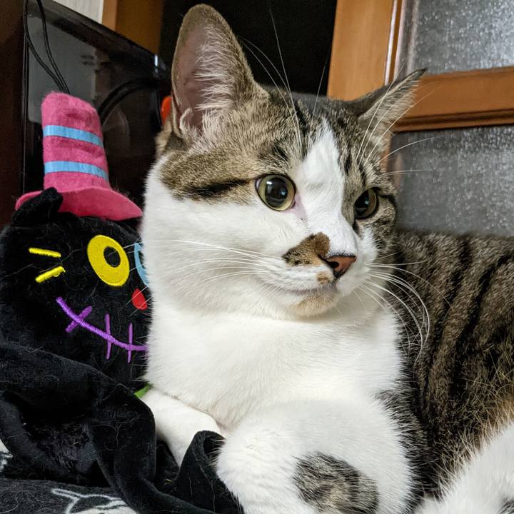 4c26ba05 0b3f 4ce2 b06d 2e501ddcb18a 1667219641171