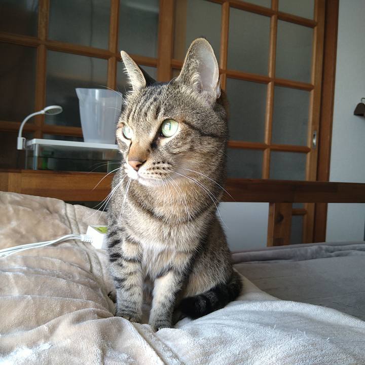 4c26bb7a 965d 4486 9a95 95aefe0b240e 1703726776213