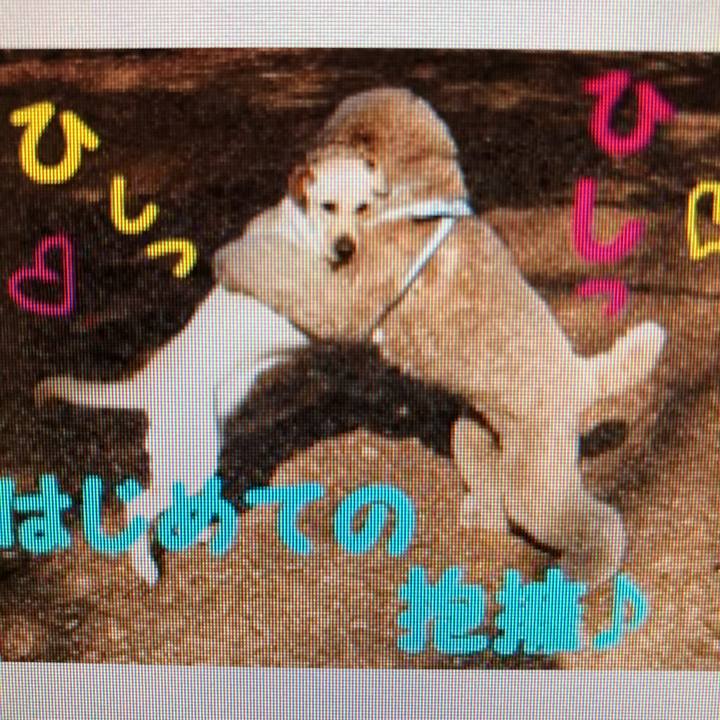 4c26c15c da36 4046 8bad 2d30a69eb0ed 1526798265282