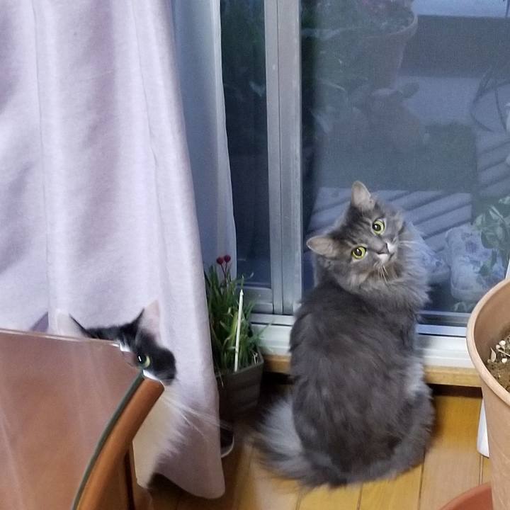 4c26ca57 b327 4eec a765 e3a659ab584a 1569619793343