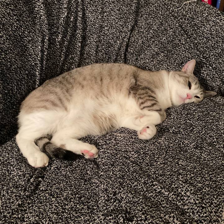 4c26cae8 0e2a 472f ba1e 3722447ae7f6 1624198453101