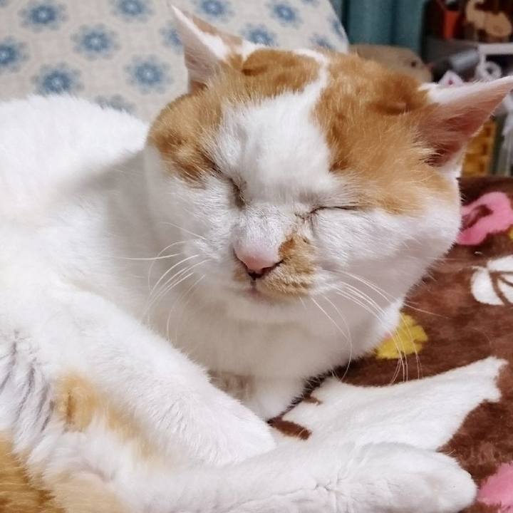 4c273675 0b27 4272 a11e 5151ddca8812 1650101401747