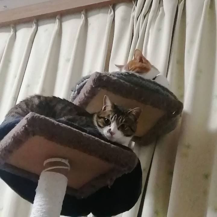 4c273ce2 b7c6 4535 ba20 378a50cbbde2 1679176251513