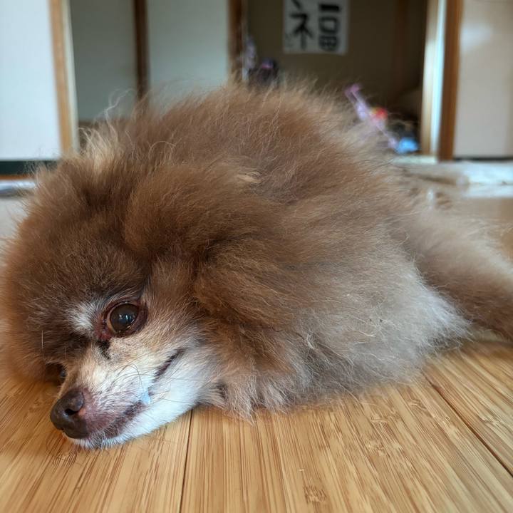 4c2759d7 ab5d 4bd0 ae60 448661b8588a 1756938921511