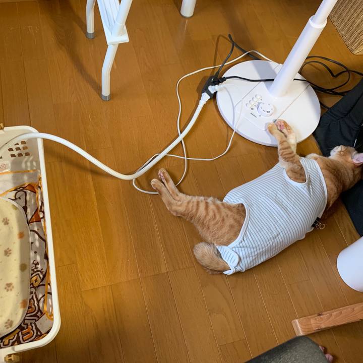 4c276b97 5048 4583 a8b6 ed98f746eb47 1569744884492