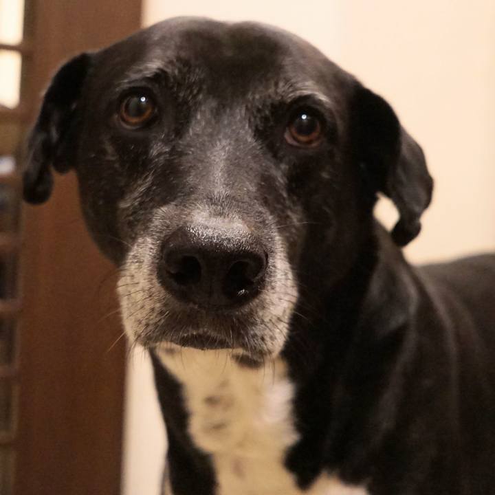 4c277329 b069 4ef1 8ff4 e661de5e0c9f 1761562798172