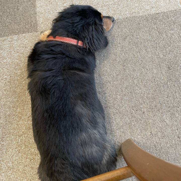 4c278a33 d1ae 4588 bd79 1cd81192b721 1613601544746