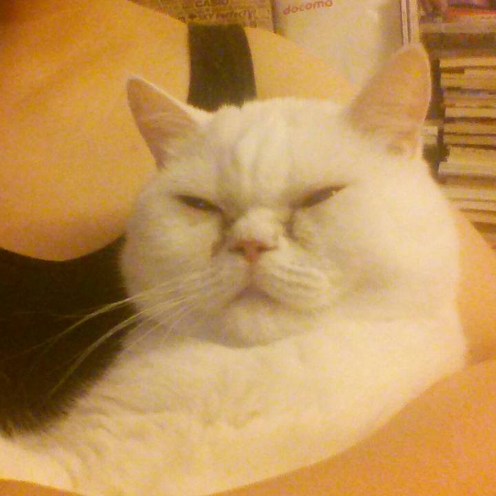 4c27d406 ac5a 4cf0 bbe8 361dece6c9fb 1507756132705