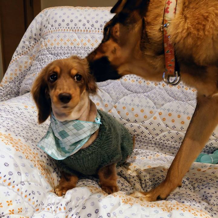 4c27e845 a171 4b95 bb6f 4f411980f681 1702990763581