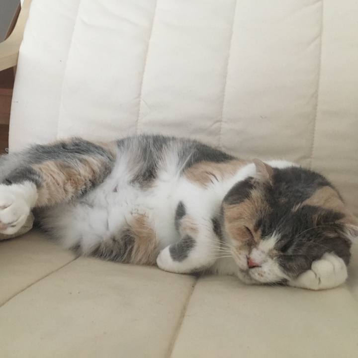 4c282aff 1ccc 4c05 9e25 8448c5048386 1548216969049