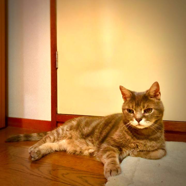 4c289c9e c2c6 46cd be57 0677fd50db7b 1530975885335