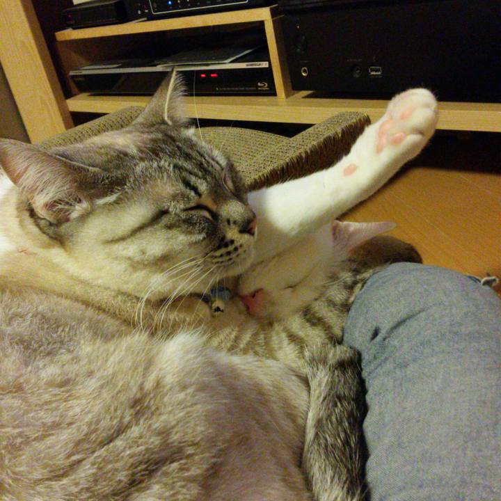 4c28afec f855 4fa5 b33a 9923ff918d5f 1520421557233