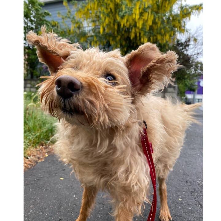 4c28c46b 5a6f 4923 b968 c6bd9fe29167 1654035185056