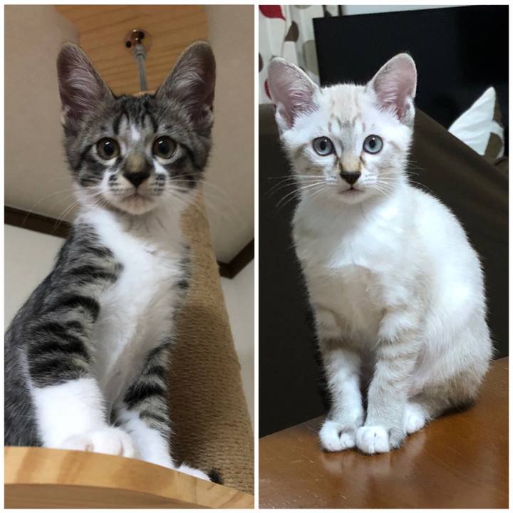 4c2910ab d8e9 4345 a1dc 3f4bb5e91dc3 1637634113243