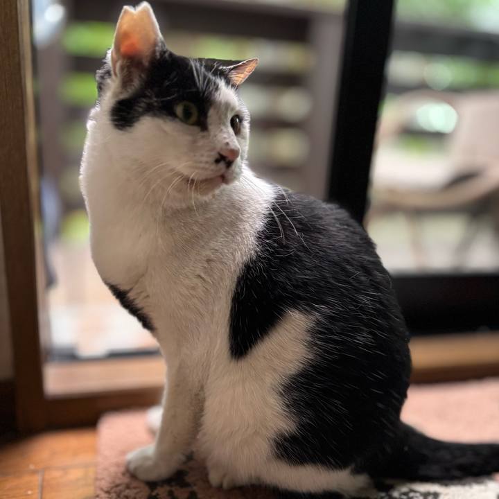 4c292ae6 ae2f 4d4d 9c56 2308eb30dbba 1764377004089