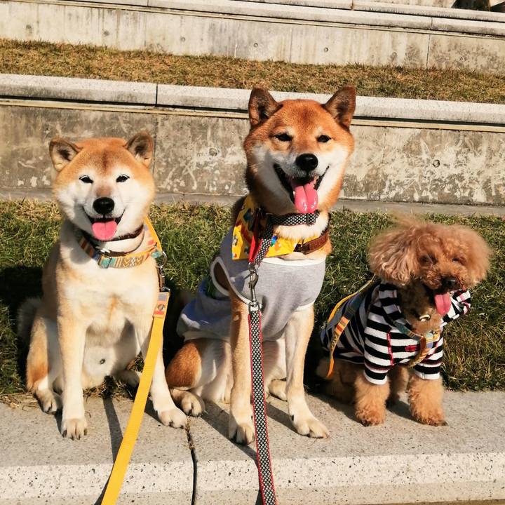 4c29340f 307b 49f1 8069 284248c2b605 1605515112552