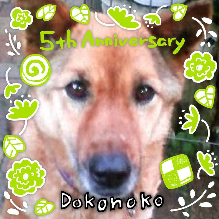 4c295df6 c5e7 4974 962b 1c45abe869e6 1623390417525