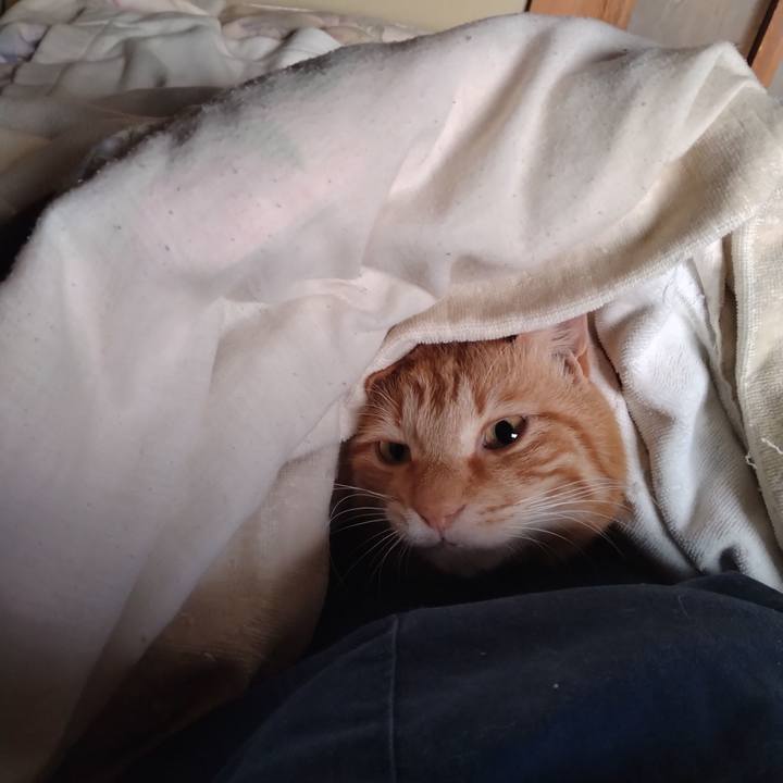 4c2970ce a104 4ce9 a630 1896629cdab6 1714337670280