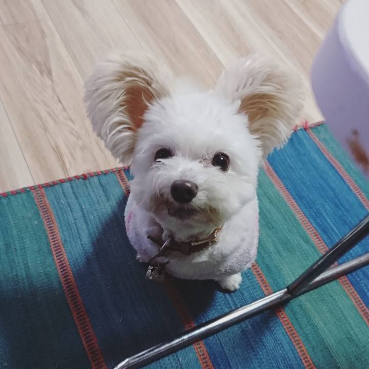 4c29db0d e8e9 4264 bb61 26f870da22ce 1572930501931