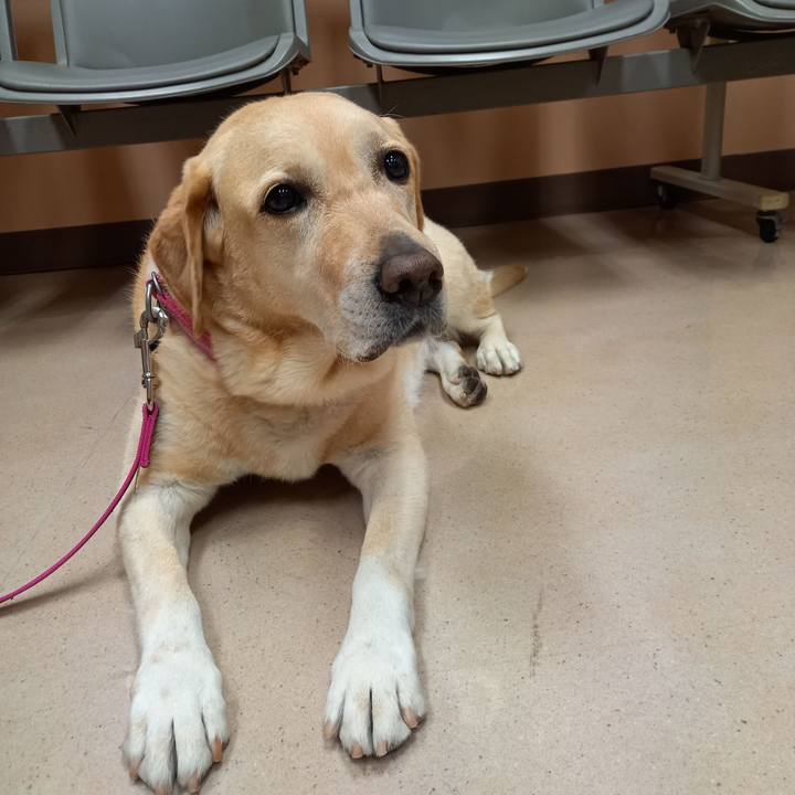 4c29e5e3 3c3e 4995 8907 291984059ee0 1605345416081