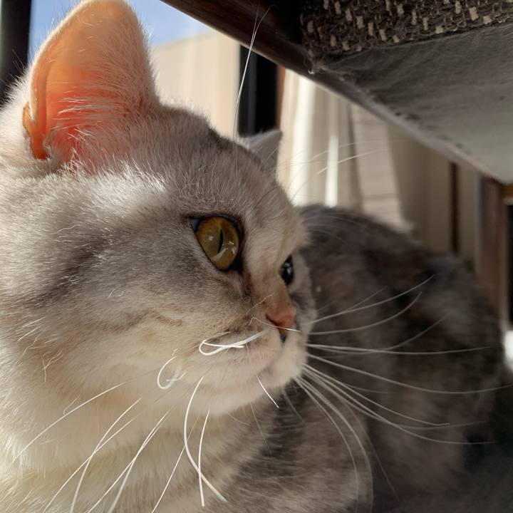 4c2a05b3 dc4e 4f0d af3e ca75f3110d3b 1709420839934