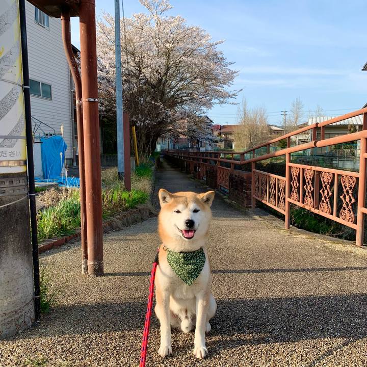 4c2a1660 1e1f 45ac 8279 f5e09669f8ce 1680339644221