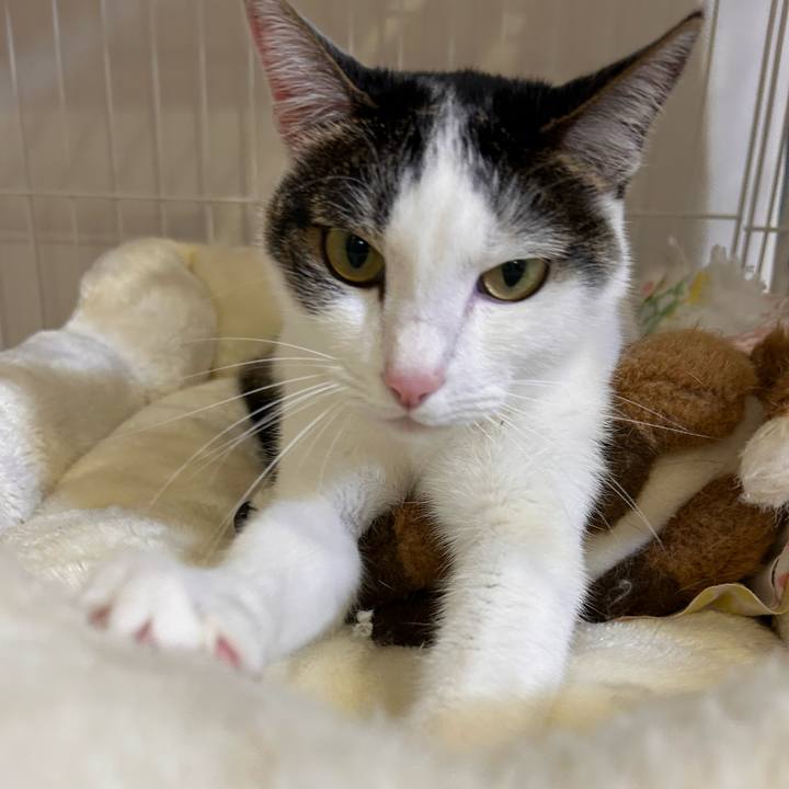 4c2a1765 10f7 411a 917d fd50e09faa8d 1766240914117