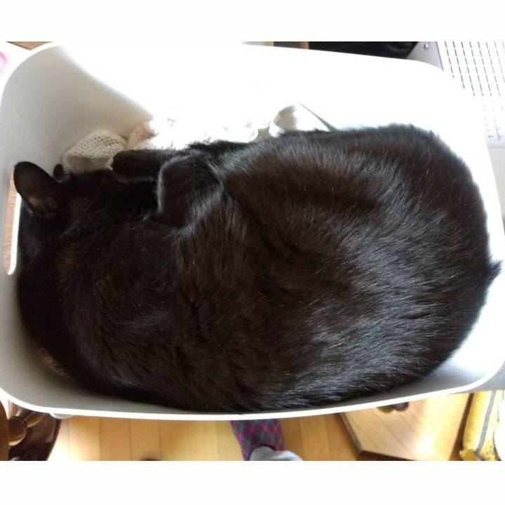 4c2a34ad 36f3 4d76 9f32 c376ca784185 1612361441994