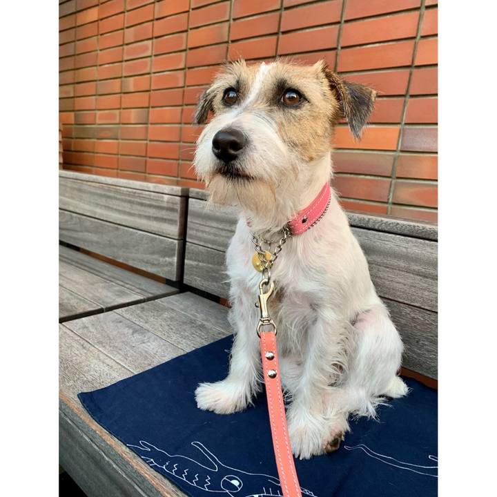 4c2a4ae7 0dc6 4ada 9d93 e5493bf6c2d6 1604741452247