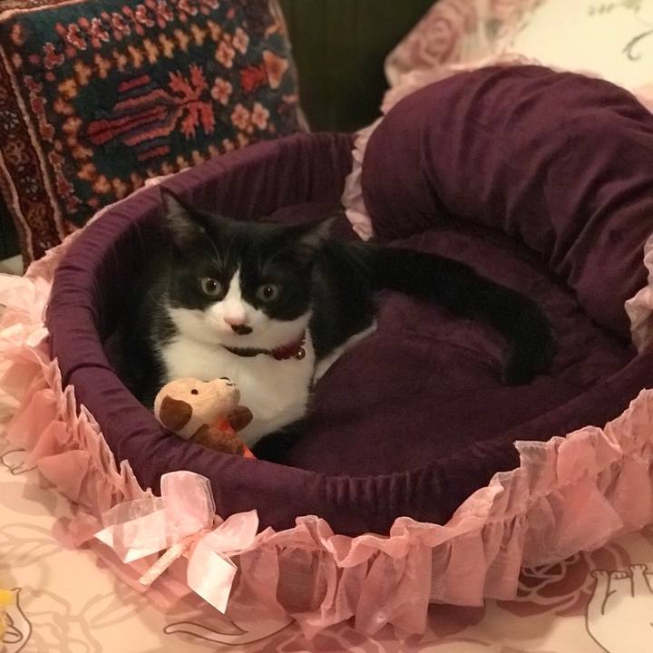 4c2a4c34 6efe 4916 9f3a 040cbc6e31f2 1510999321118