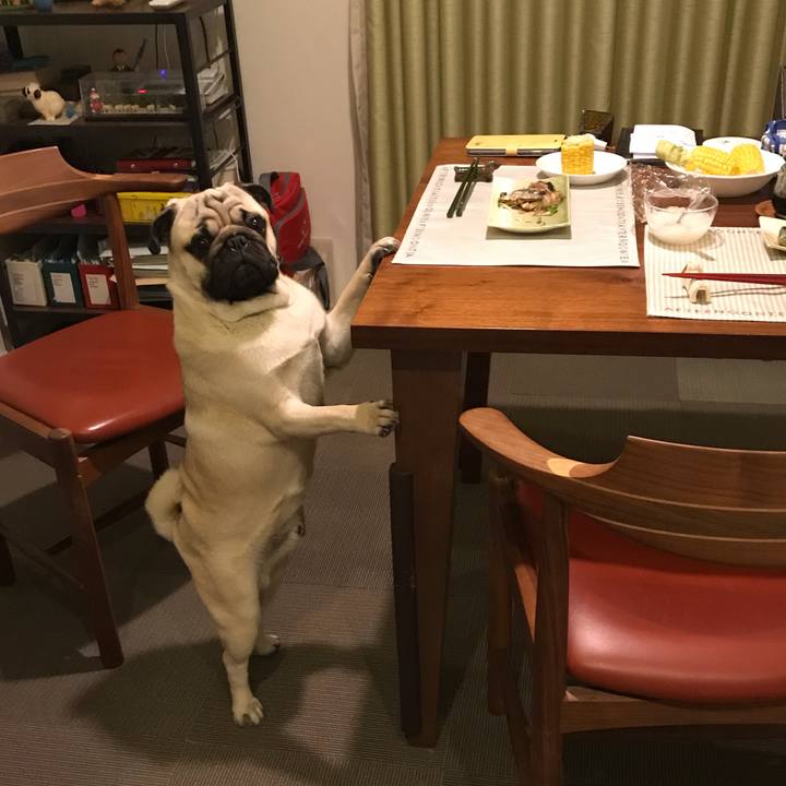 4c2ab6c0 c6fe 47e0 a807 f24bcbecdc03 1558784305885