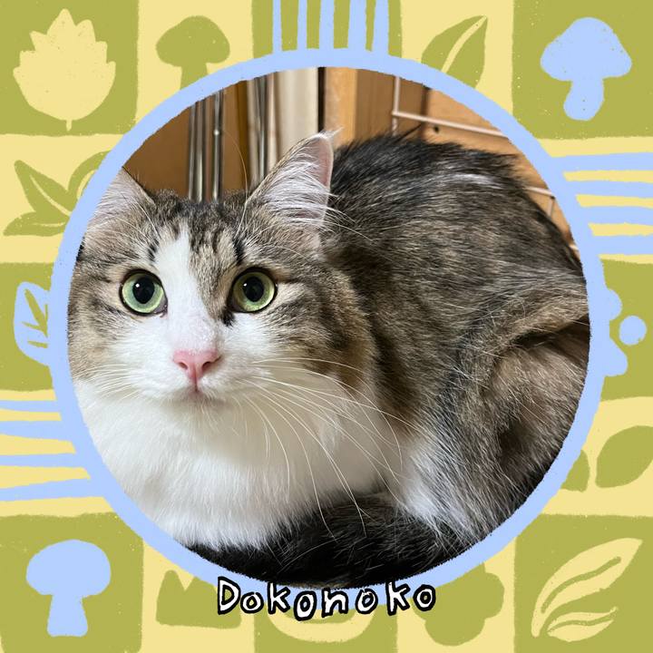 4c2aef69 3ea9 4fec 98d3 016dab6b3157 1761118300732