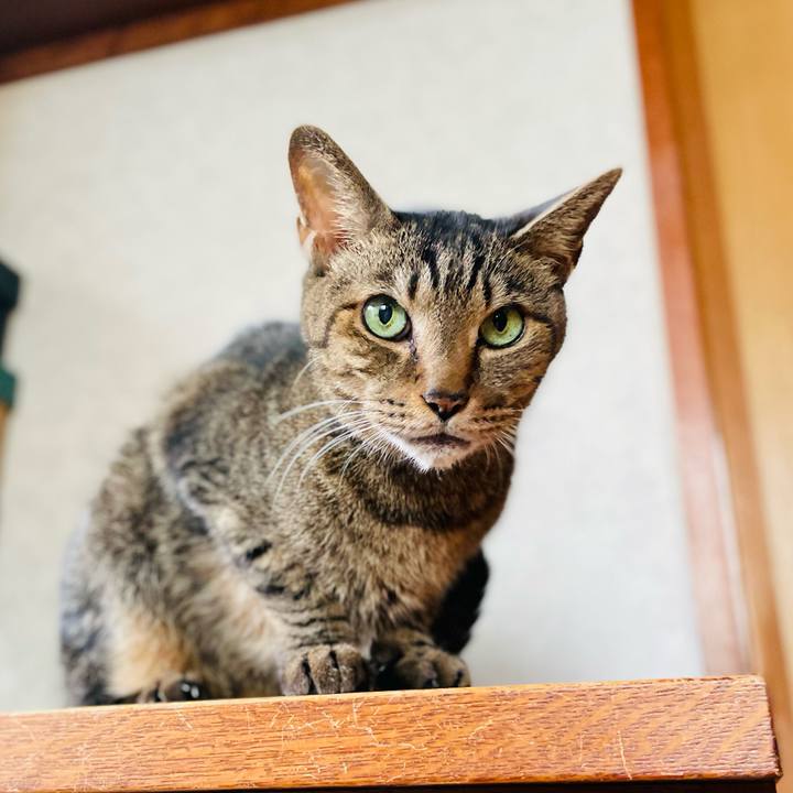 4c2b254d 3162 41ae 8052 3e215f92a379 1604194219448