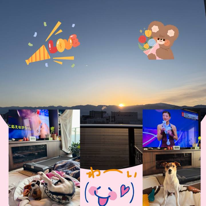 4c2b3ab5 6710 4c93 8fe0 ab3bcb6c2fb3 1771541851093