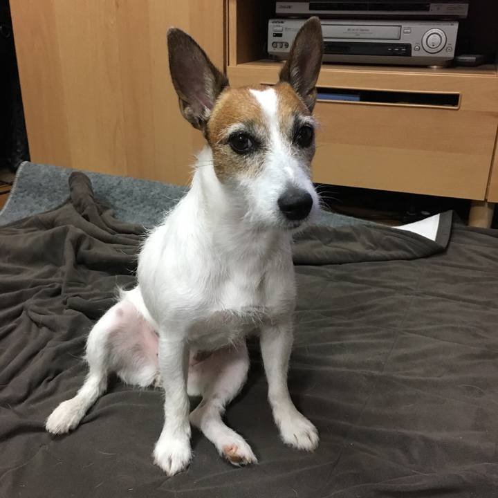 4c2b413f 37bd 4100 8a0a f8b4dc1579db 1570491028829