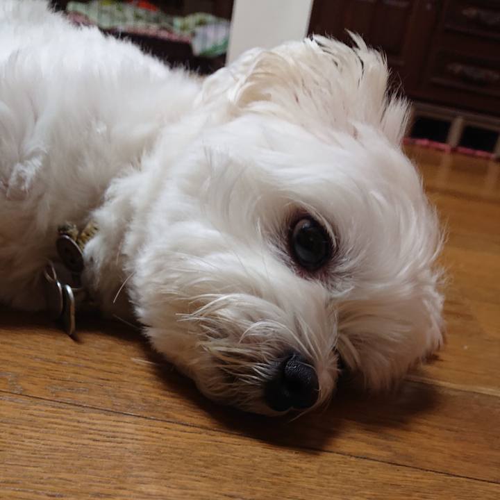 4c2b661f 4c83 432d 8253 97cc3a079525 1537531038907