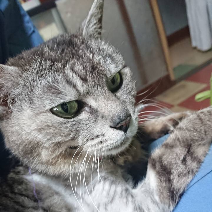 4c2b68a9 7a0e 46a3 9add b50de5433dae 1590743219567