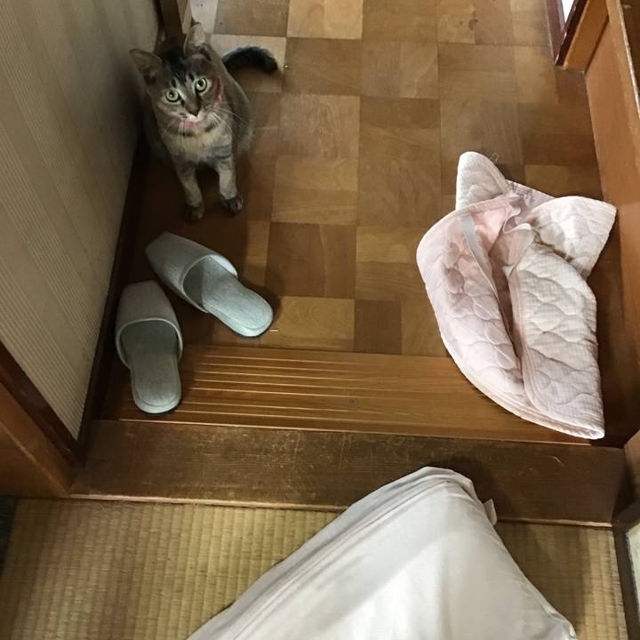 4c2b7394 e492 4f5d 8a2b 0a25828e30a3 1593814877240