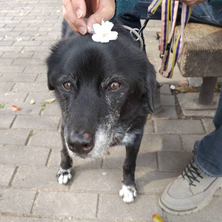 4c2be4dc e887 43cc 9037 3aee15f21cd1 1774882941748