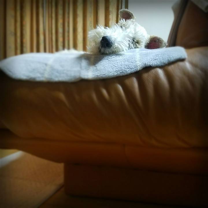 4c2c106e c759 429b 9bca e1d20997560d 1519912146008