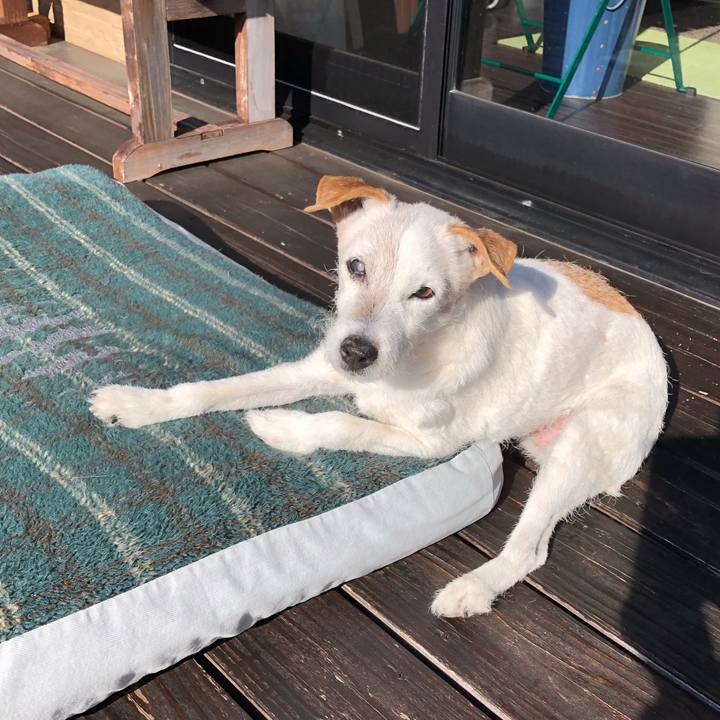 4c2c390b d04d 4d5f ab1e 8597a96502a9 1647307762810