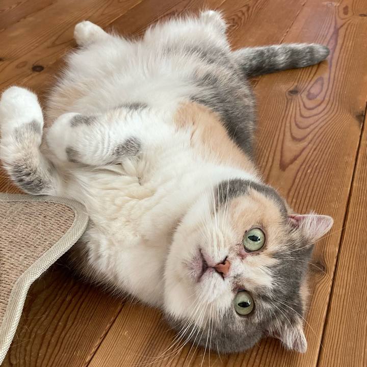 4c2c673a 5805 4057 b542 4270078f6c99 1693445070415