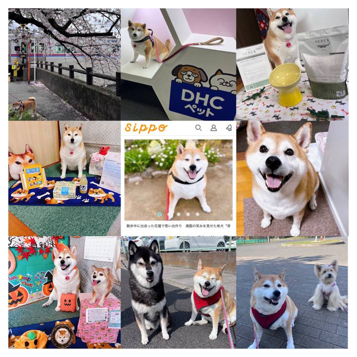 4c2c9675 3a2d 4b92 bc0f 1ebc285e03ac 1703720875643