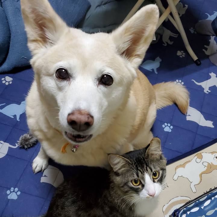 4c2d0ddf d4d1 4908 90e7 416edce52aa7 1649077153284