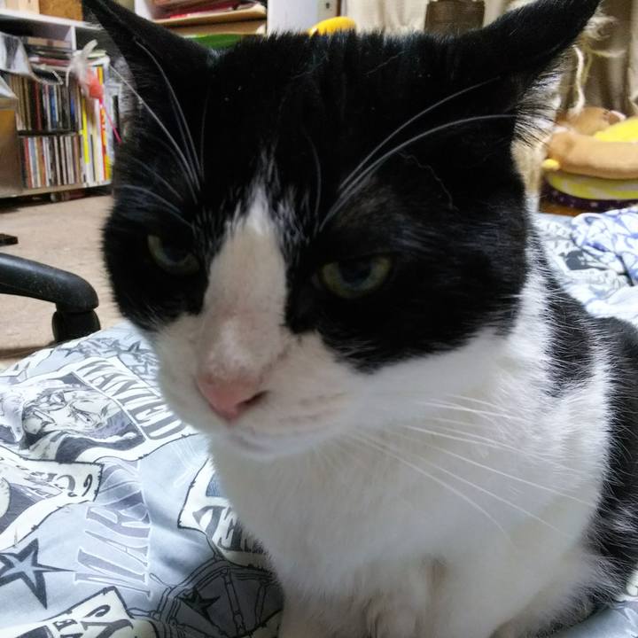 4c2d20ae 6a0e 4e28 8774 a2a64991549f 1527683582979